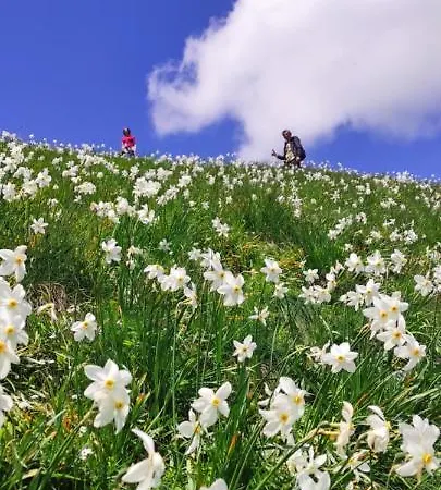 Pensiunea Somesana Valea Mare (Bistrita-Nasaud)